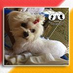     
: nIvI53bZJx8.jpg
: 12
:	64.0 
ID:	12331479