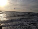     
: IMG_1824.jpg
: 23
:	130.6 
ID:	12332197