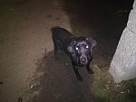     
: i128^cimgpsh_orig.jpg
: 38
:	92.0 
ID:	12332651