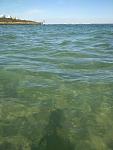     
: 28.9_rKPYH87C4.jpg
: 18
:	77.7 
ID:	12343932