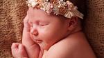     
: DSC02473-1.jpg
: 13
:	82.4 
ID:	12347095