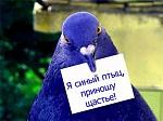     
: i (1).jpg
: 6
:	23.4 
ID:	12347735