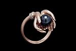     
: Pink Gold Ring with Black Pearl and Uncolor Diamonds_2.jpg
: 188
:	22.9 
ID:	12348892