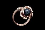     
: Pink Gold Ring with Black Pearl and Uncolor Diamonds_2.jpg
: 86
:	22.9 
ID:	12348896