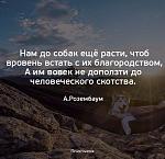     
: 22366309_4581208431983440_3570842050351401936_n.jpg
: 14
:	60.8 
ID:	12352391