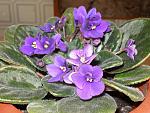     
: P1010100.jpg
: 31
:	212.0 
ID:	1235258