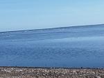     
: IMG_2017-10-16_115451.jpg
: 19
:	99.2 
ID:	12355747