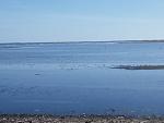     
: IMG_2017-10-16_115458.jpg
: 16
:	89.0 
ID:	12355749