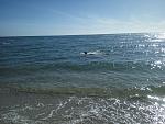     
: IMG_2017-10-16_111816.jpg
: 73
:	154.7 
ID:	12355761
