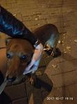     
: P71017-191656.jpg
: 12
:	73.2 
ID:	12357948
