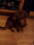     
: received_1697693500300784.jpg
: 6
:	29.4 
ID:	12358065