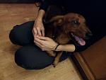     
: received_1697693503634117.jpg
: 6
:	70.1 
ID:	12358068