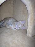     
: IMG_20171013_165511.jpg
: 11
:	66.9 
ID:	12362234