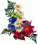     
: 6107545.gif
: 15
:	132.0 
ID:	12366336