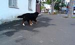     
: IMG_0654.JPG
: 17
:	236.8 
ID:	12366609