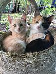     
: IMG-03c29f3fa3533ace3ae86ac95bb581a1-V.jpg
: 15
:	155.0 
ID:	12366917