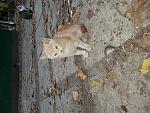     
: 20171015_170853.jpg
: 11
:	237.7 
ID:	12366963