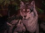     
: temp0.jpg
: 10
:	116.3 
ID:	12368282