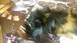     
: DSC_0069.jpg
: 16
:	114.0 
ID:	12373711