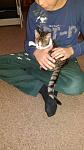     
: IMG_4713.jpg
: 6
:	80.9 
ID:	12375271