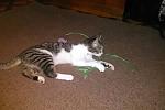     
: IMG_4714.JPG
: 7
:	77.8 
ID:	12375272