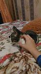     
: IMG_4724.jpg
: 9
:	74.8 
ID:	12375273