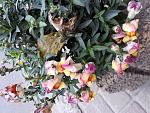     
: 20171026_134719.jpg
: 10
:	200.7 
ID:	12378521