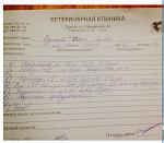     
: наз.jpg
: 23
:	54.8 
ID:	12383474