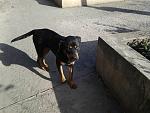     
: image-0-02-05-1cc248b151e3588efa2bbb0c8be498e46363f3ade59bbb59d34720bdab0c9e27-V.jpg
: 6
:	152.6 
ID:	12385125