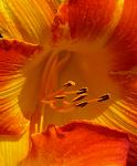     
: 27.07 (35).jpg
: 10
:	50.8 
ID:	12386414