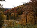     
: IMG_20171015_115605.jpg
: 15
:	227.0 
ID:	12388973