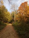     
: IMG_20171015_144436.jpg
: 18
:	193.1 
ID:	12388974