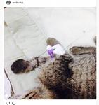     
: катер.jpg
: 19
:	44.5 
ID:	12390780