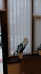     
: 20171103_152345.jpg
: 8
:	42.4 
ID:	12391882