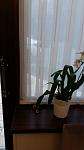     
: 20171103_152353.jpg
: 8
:	39.0 
ID:	12391883