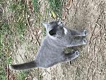     
: IMG_7397.jpg
: 226
:	249.1 
ID:	12392734