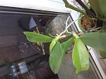     
: 20171105_125622.jpg
: 15
:	111.2 
ID:	12394549