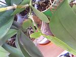     
: 20171105_125901.jpg
: 10
:	108.3 
ID:	12394550