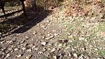     
: IMG_20171105_120904.jpg
: 17
:	305.4 
ID:	12394711