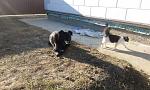     
: IMG_20171105_140306.jpg
: 19
:	187.2 
ID:	12396260