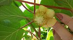     
: 20150606_105641.jpg
: 41
:	101.9 
ID:	12401012