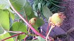     
: 20150626_194507.jpg
: 42
:	103.6 
ID:	12401014