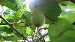     
: 20150626_194551.jpg
: 36
:	100.4 
ID:	12401015