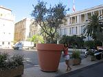     
: IMG_5729.jpg
: 52
:	174.0 
ID:	12402231