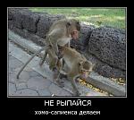     
: 1276899263_demotivator053.jpg
: 135
:	46.8 
ID:	1240296