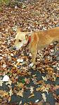     
: IMG_20171110_145045.jpg
: 19
:	205.1 
ID:	12405221