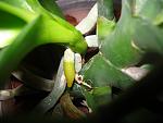     
: DSC09648.jpg
: 28
:	89.3 
ID:	12408289