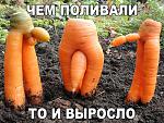     
: funny-photos-20.jpg
: 15
:	134.5 
ID:	12408384