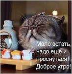     
: e5e5d.jpg
: 13
:	52.8 
ID:	12408853