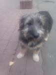     
: viber image.jpg
: 7
:	40.6 
ID:	12413336